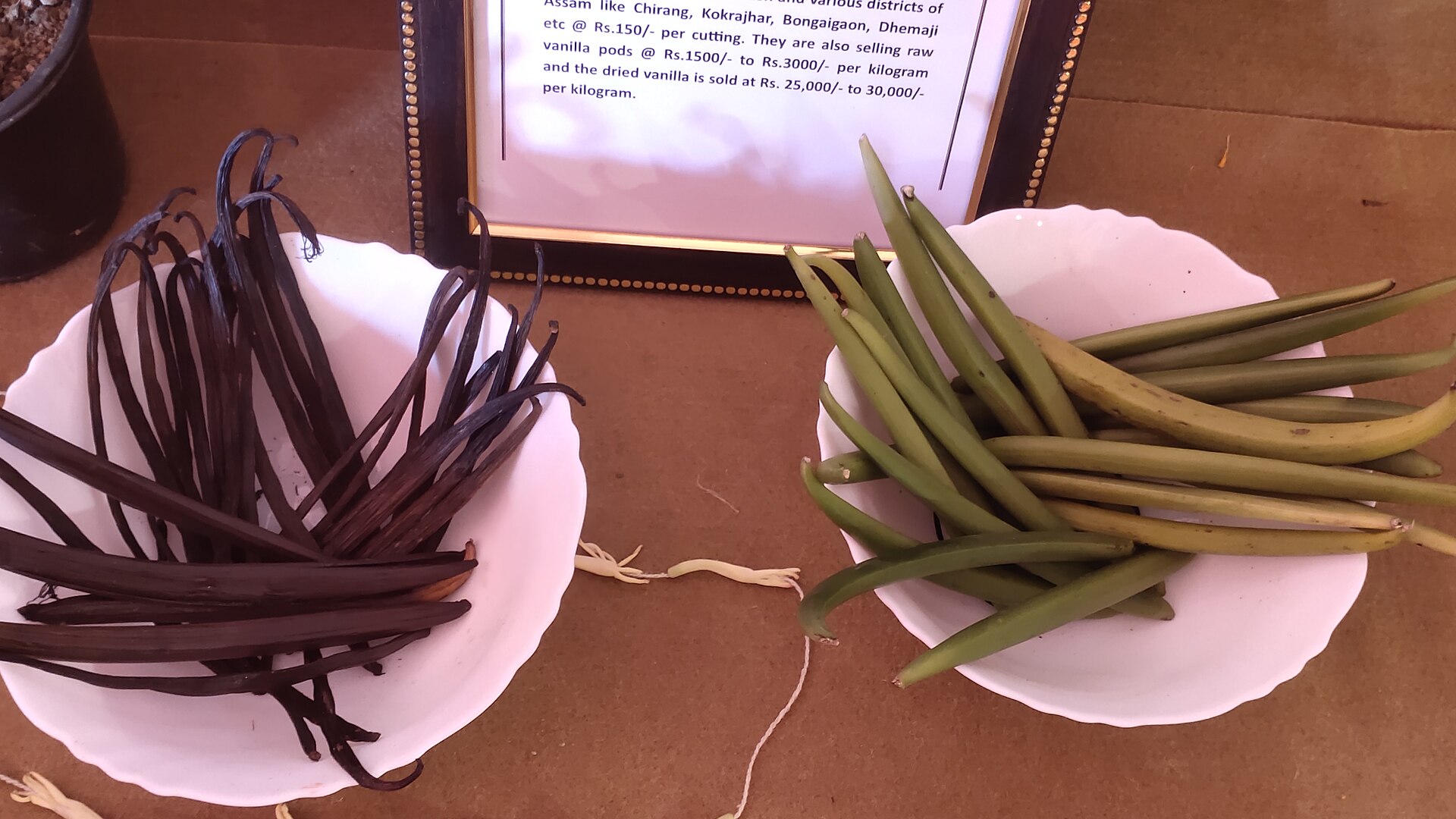 Dark cured vanilla beans beside fresh green vanilla pods